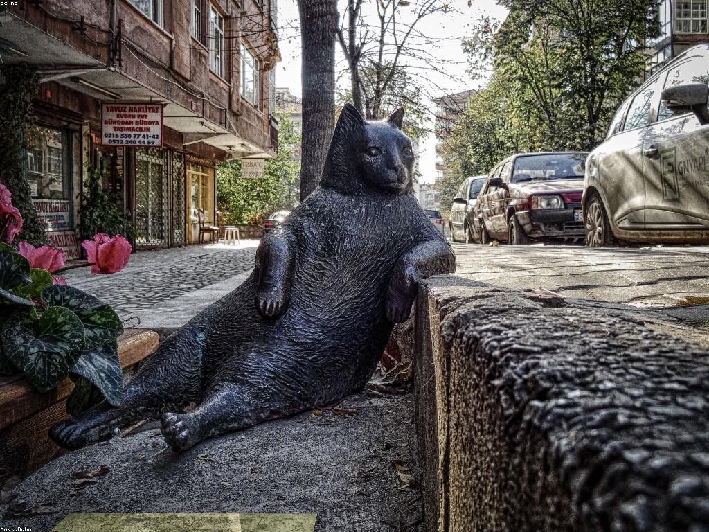 ការណែនាំលេង Slot Fish